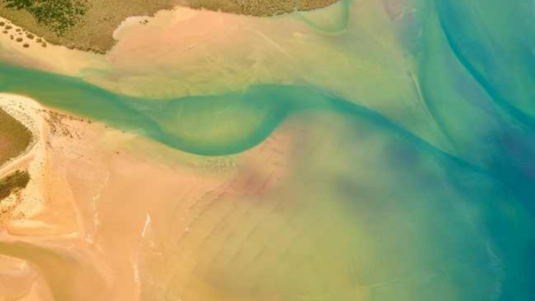Shark Bay