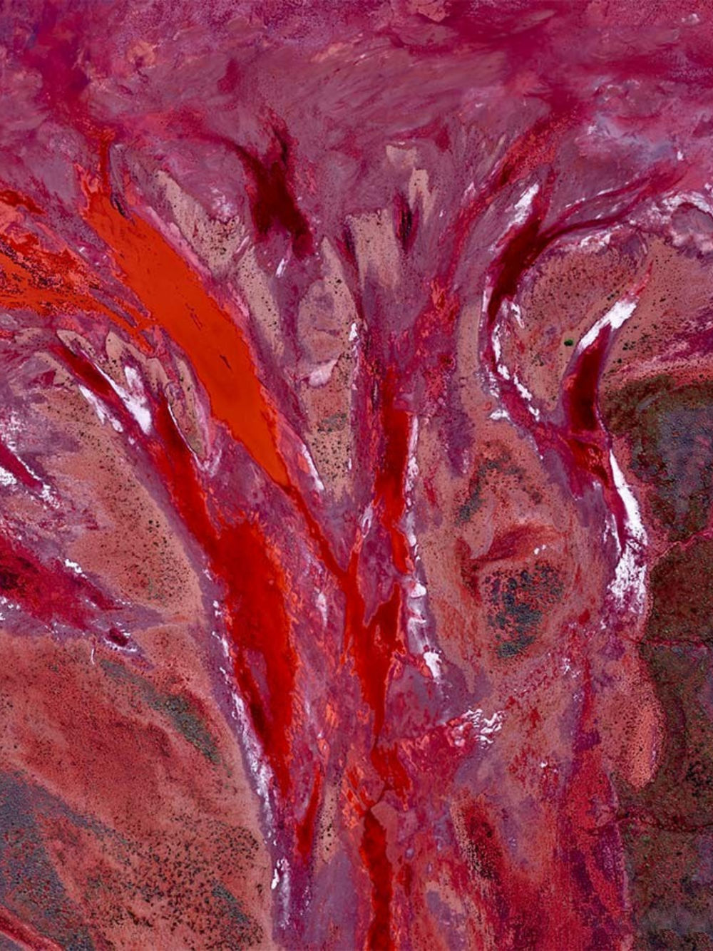 Karratha 100% Silk Scarf – Australian Design