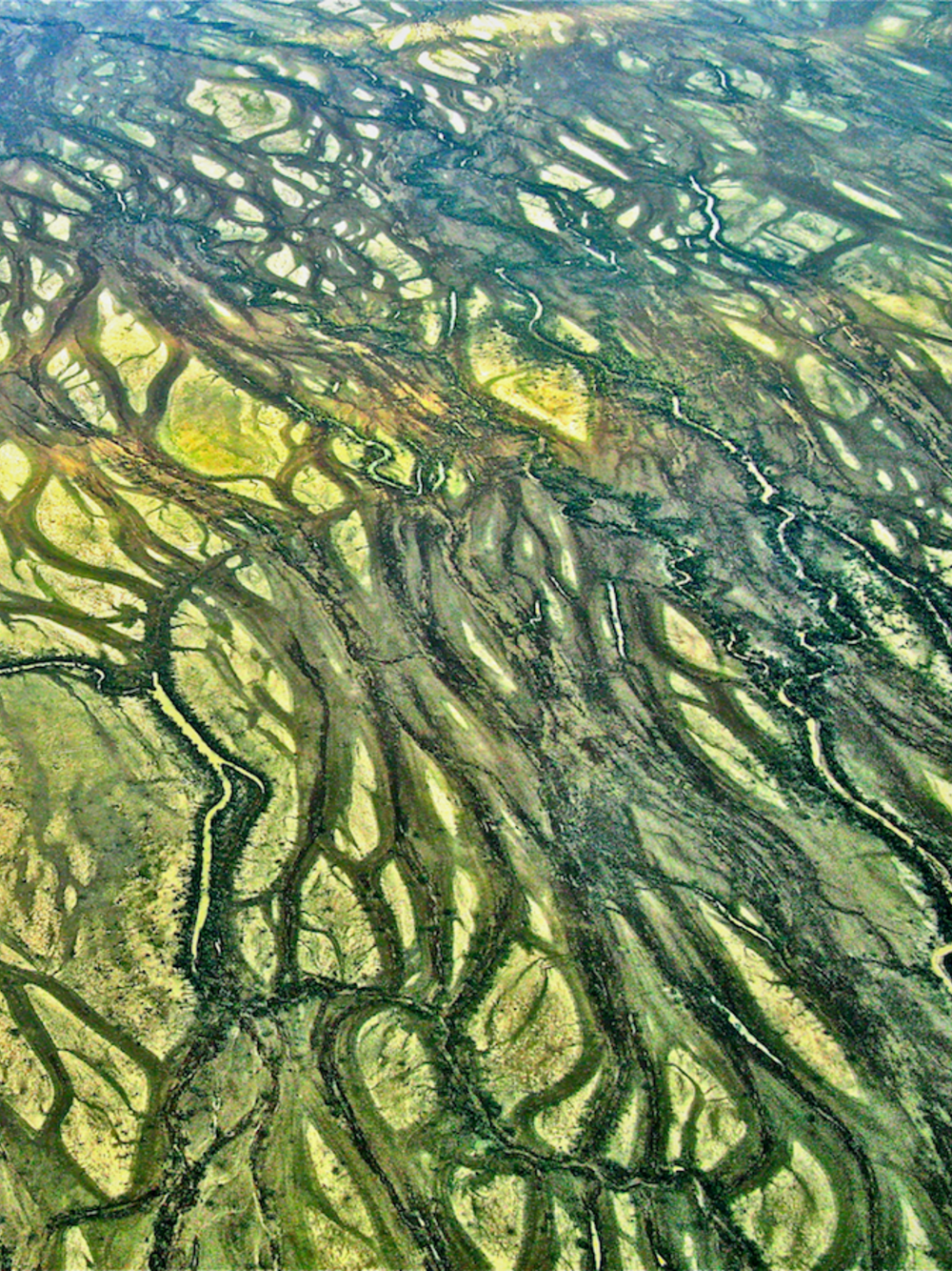 Diamantina River 100% Silk Scarf – Australian Design