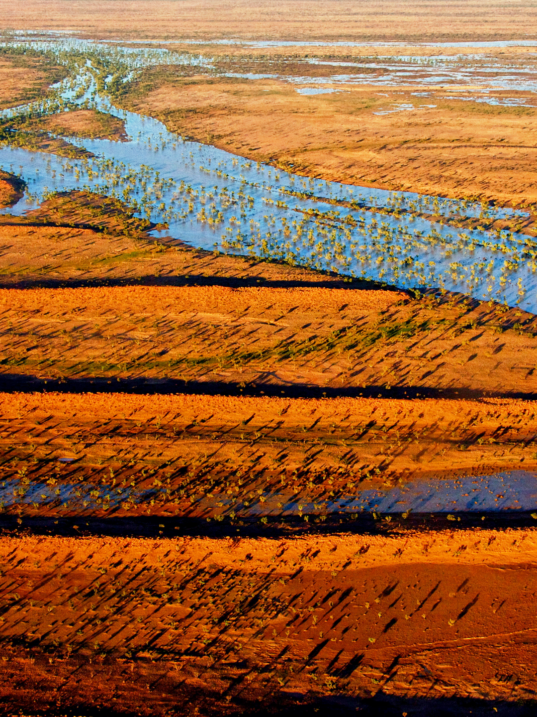 A striking aerial image of a Simpson Desert landscape in South Australia – showing water rising to the surface from the Great Artesian Basin below and bringing the land to life.