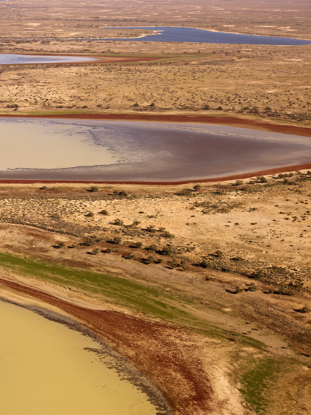 Lake Eyre (bays) apron