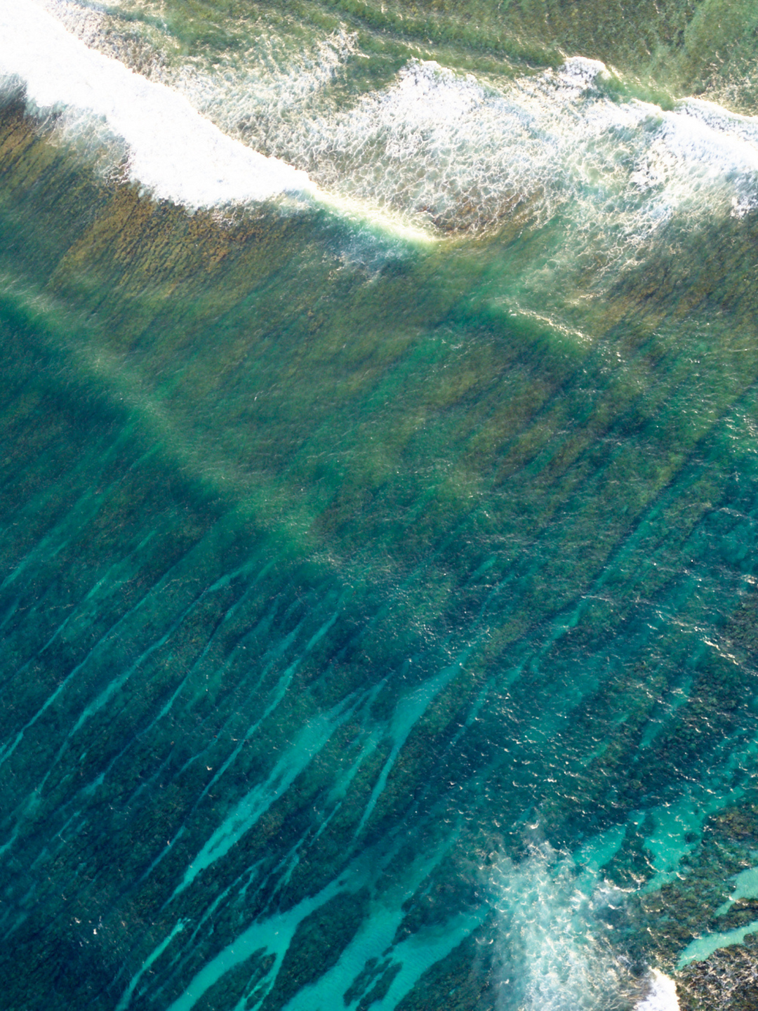 Sydney beach wrap