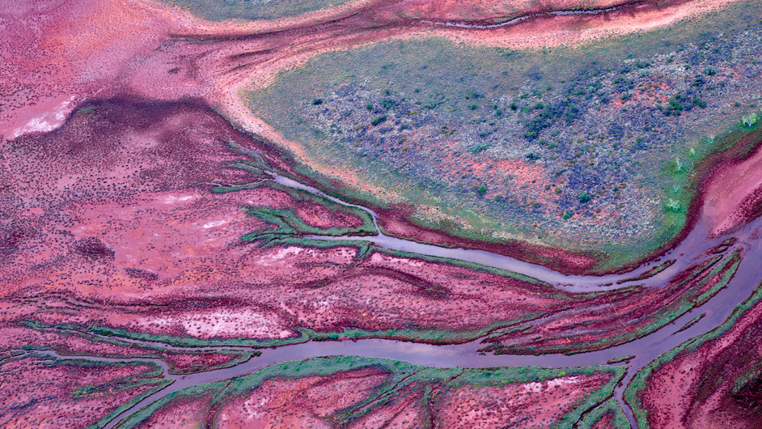Port Hedland (estuary)
