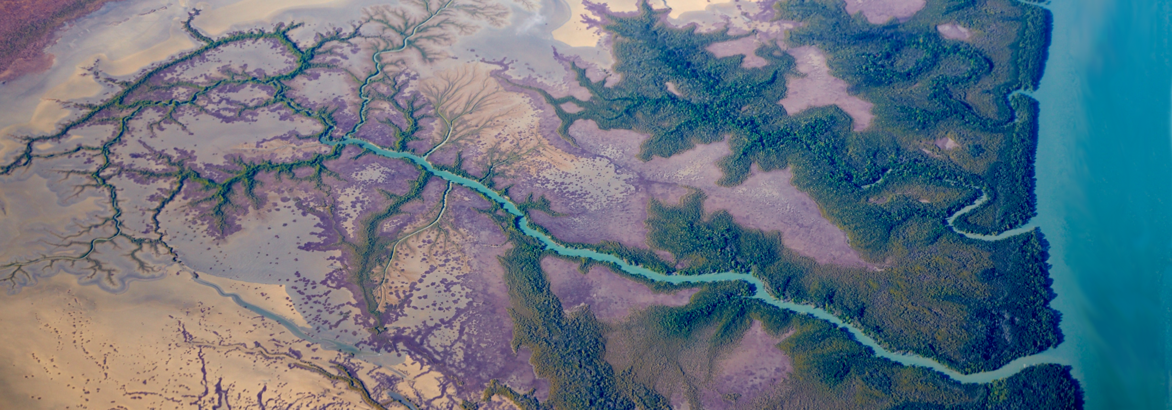 T-shirts of Australia