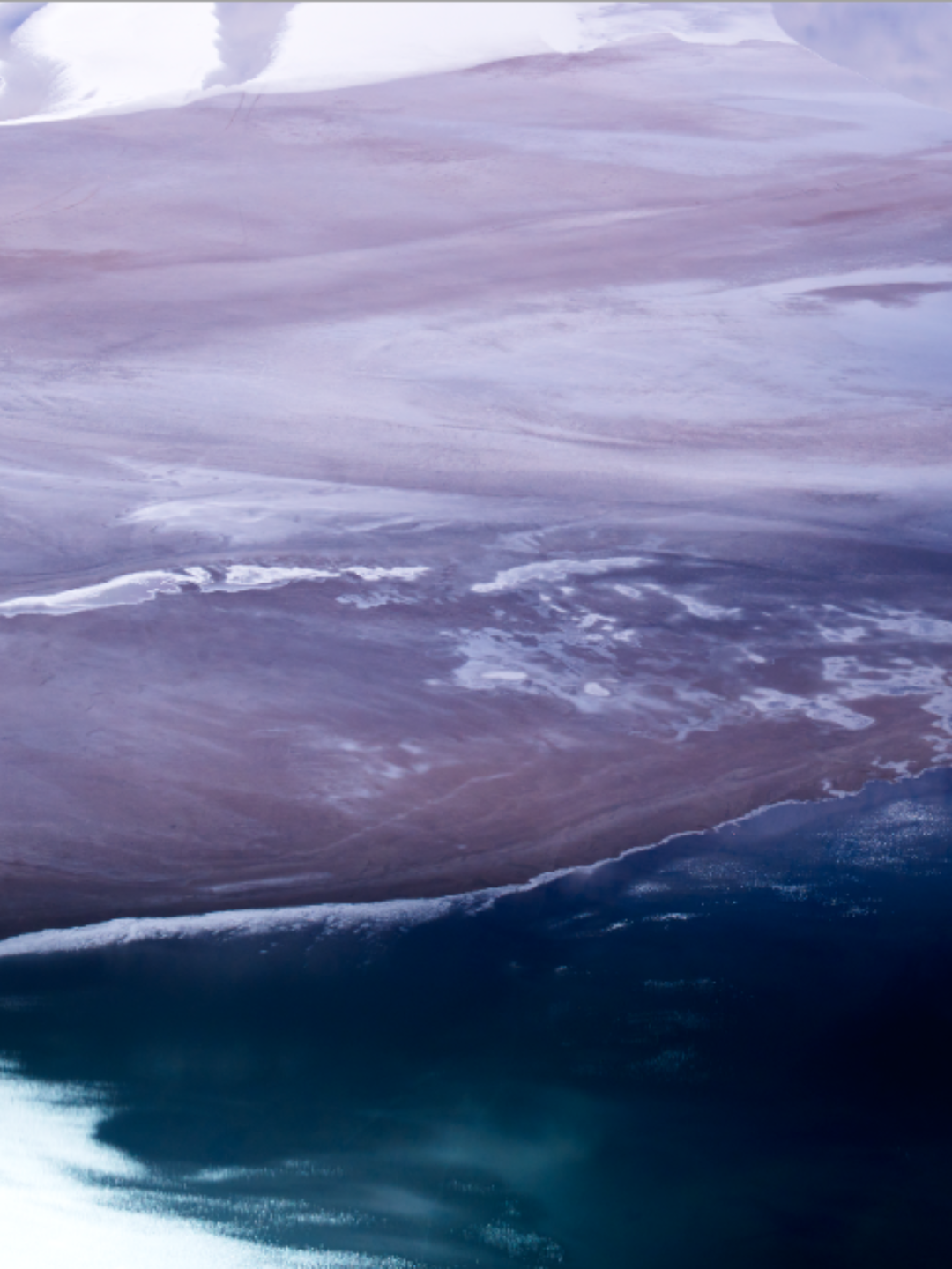 Coral Bay 100% Silk Scarf – Australian Design