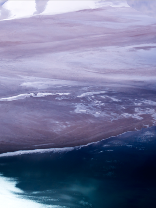 Coral Bay 100% Silk Scarf – Australian Design