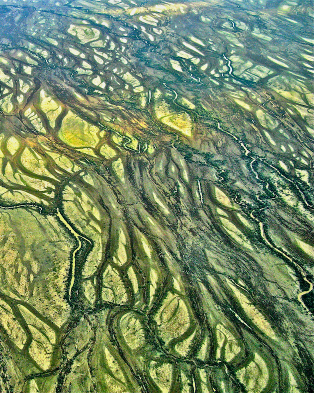 A brilliant aerial image of a Diamantina River landscape in Queensland – showing a stunning pattern of endless waterways and billabongs and the lush green vegetation they generate.