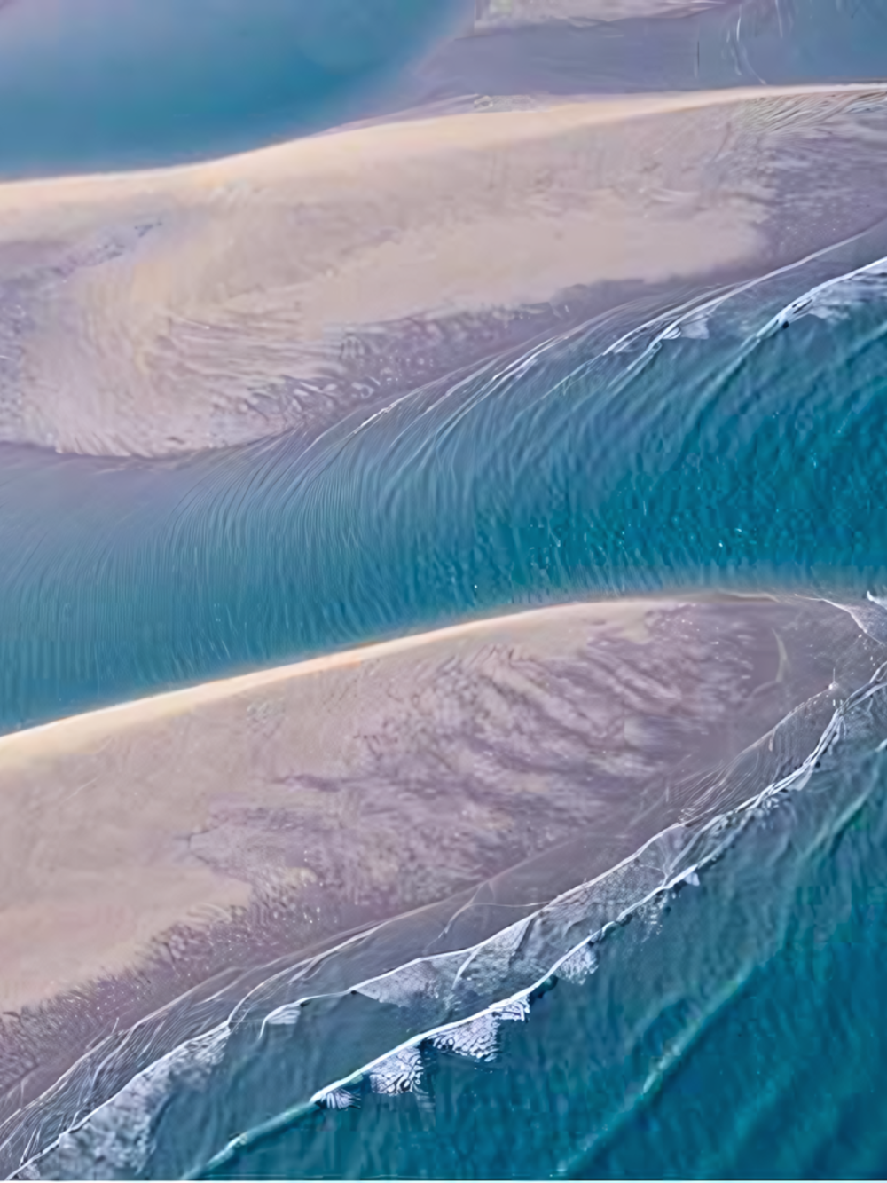 Broome 100% Cotton T-shirt – Made in Australia