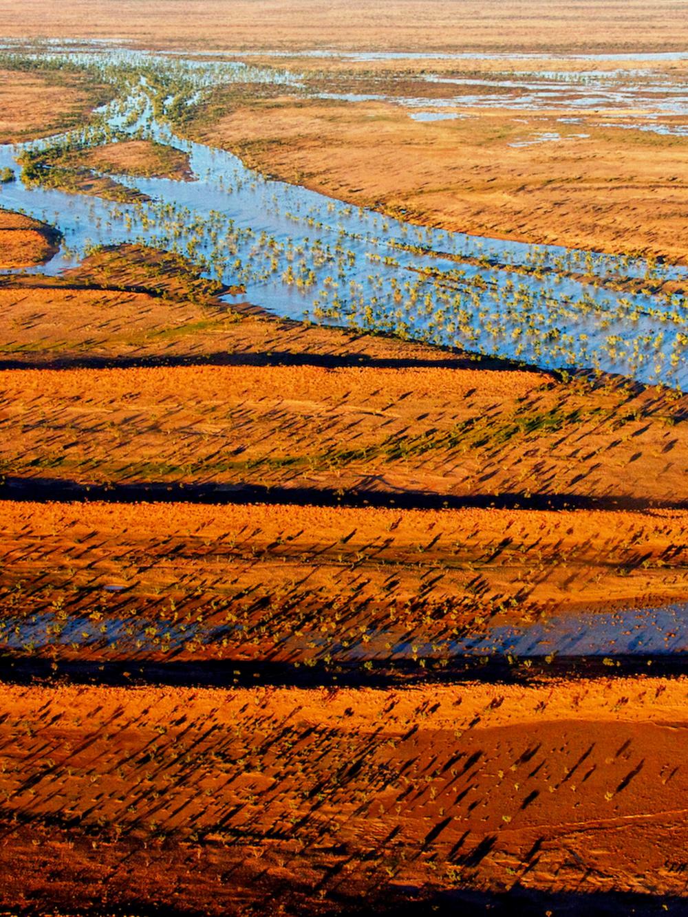 Simpson Desert 100% Cotton T-shirt – Made in Australia