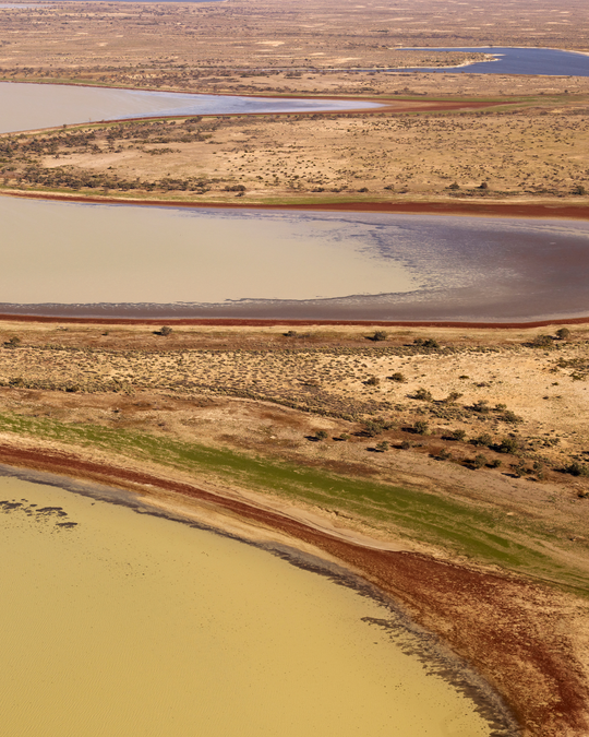 Lake Eyre (bays) tea towel