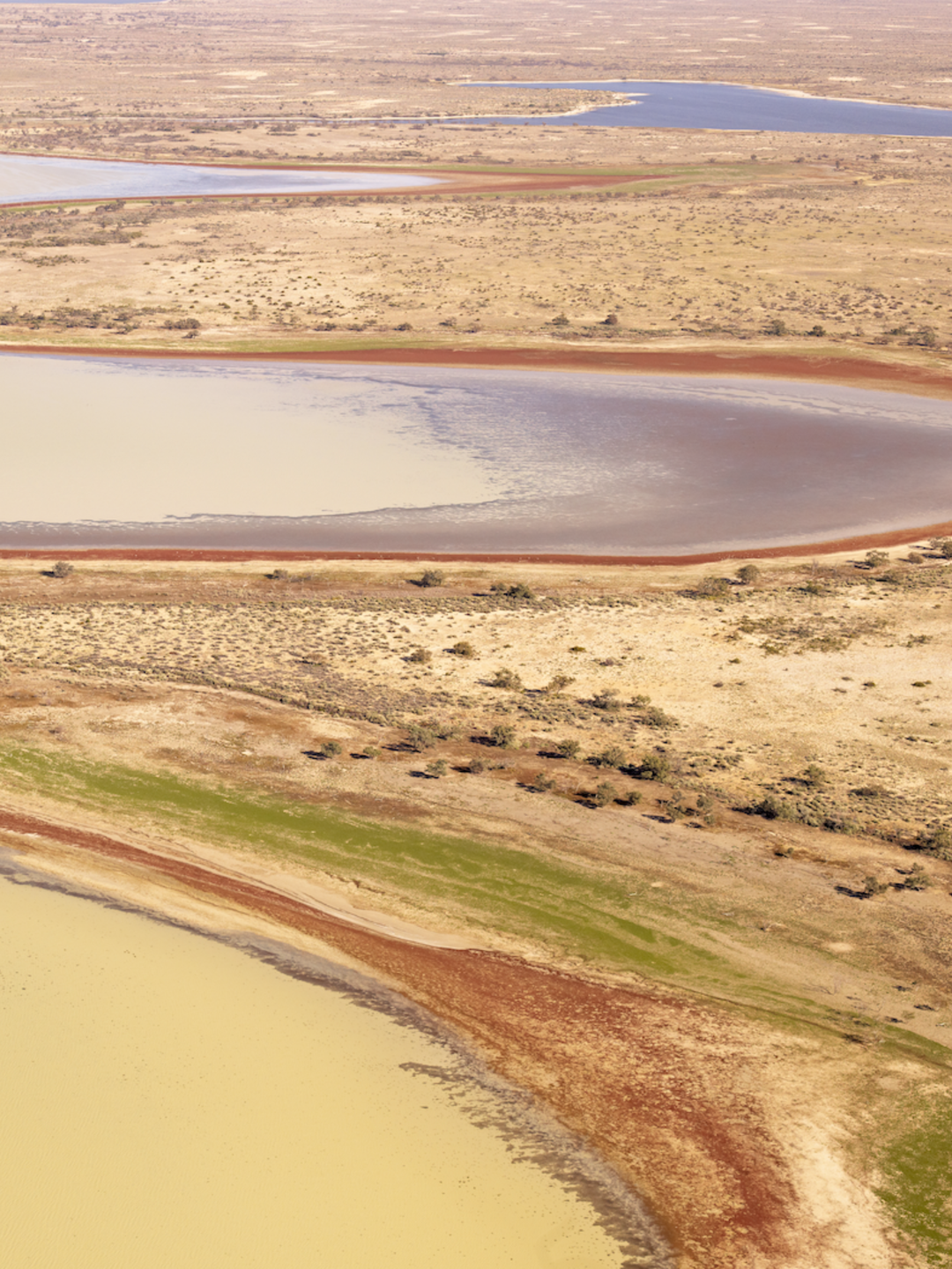 Lake Eyre 100% Cotton T-shirt – Made in Australia