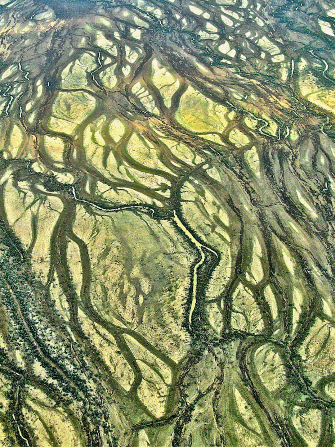 Diamantina River 100% Cotton T-shirt – Made in Australia