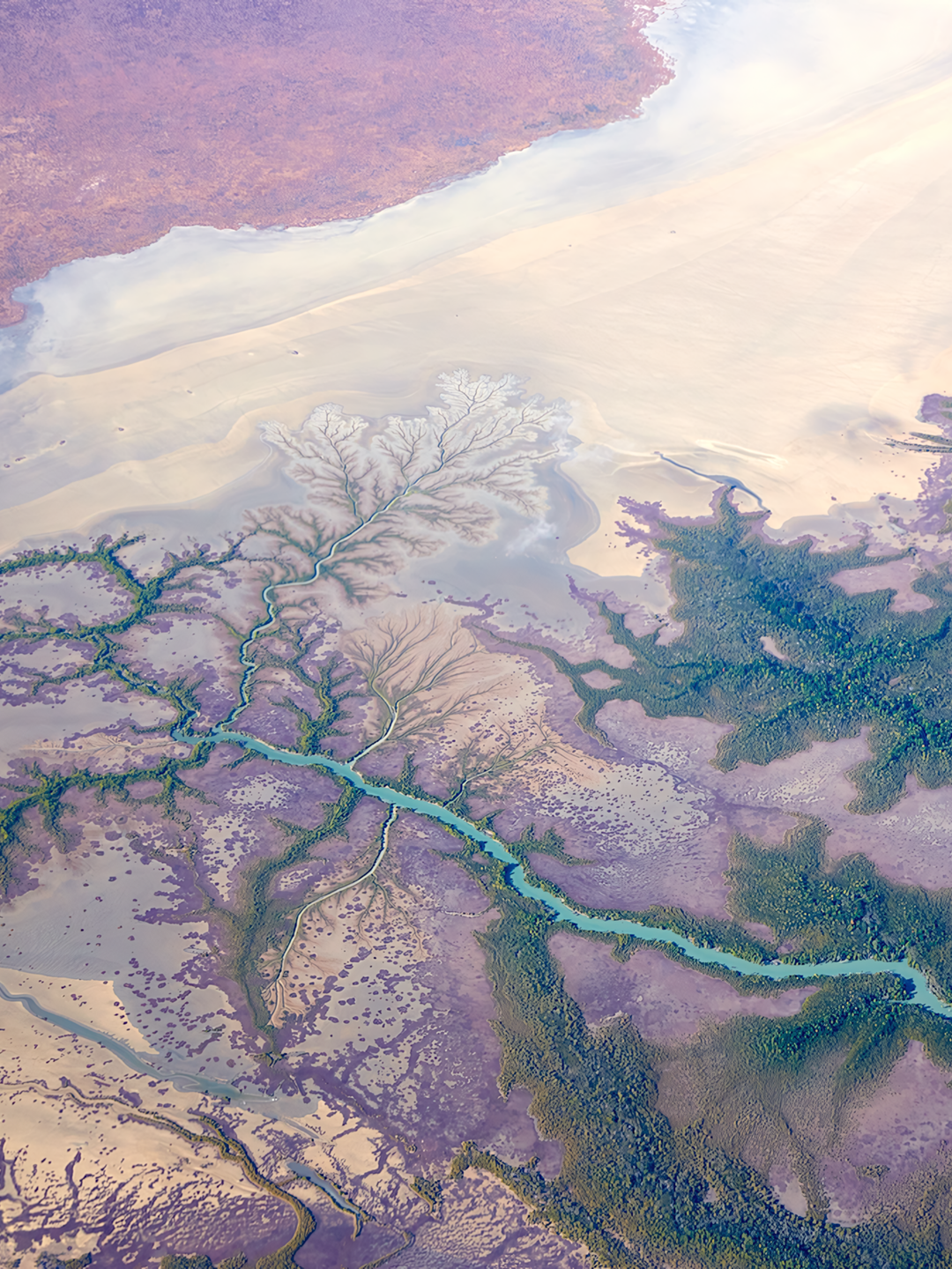 Alligator Rivers 100% Cotton T-shirt – Made in Australia