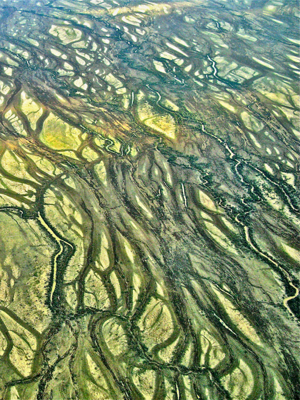 A mesmerising aerial image of a Diamantina River landscape in Queensland – showing a stunning pattern of endless waterways and billabongs and the lush green vegetation they generate.